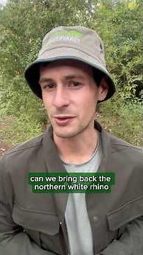 The Last Northern White Rhino on Earth (Can We Save Their Subspecies?)