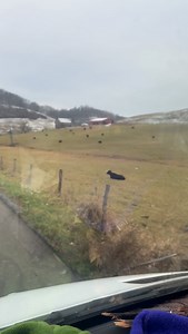 West Virginia winter… | Davisson Brothers Band