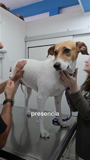 Chequeos preventivos I #PreveníJuntoAOSPAN
