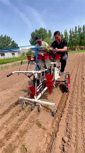 Manual Seedling Transplanter for Efficient and Precise Row Planting in the Field