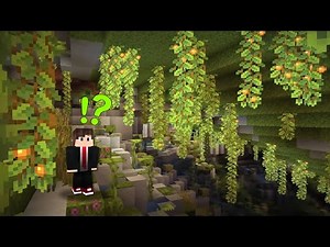 How can I find a Lush Cave? | Minecraft Stream