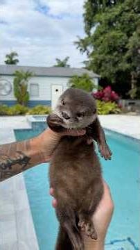 Lola learns to swim for the first time🥹