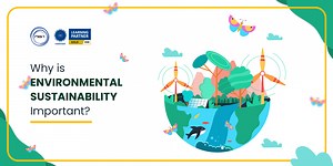 Why is Environmental Sustainability Important? | FE News