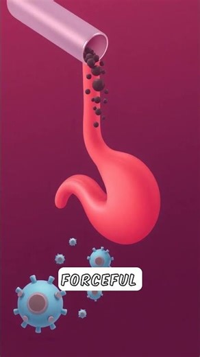 The Science of Vomiting: Why Nausea Is a Signal