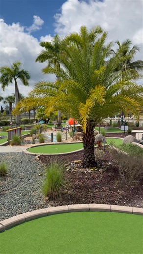 Pelican’s SnoBalls: Lehigh Acres, Florida on Reels