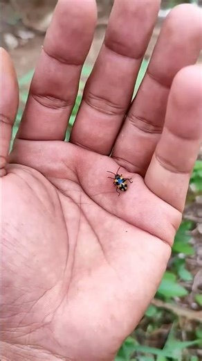 🐜😂😱😍Introducing the "VitaWear SmartBand," a next-generation wearable gadget