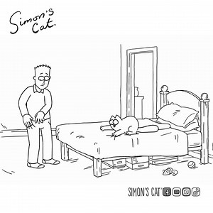 The struggle is real...😠 | Simon's Cat