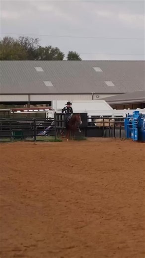 This little mare has only been roping for a month, has roped just 5 live steers, and it’s only her second day out of the box. Miles Baker takes this 3-year-old and starts shaping her future as a heel horse—building confidence, control, and cow sense from the ground up. Watch the full practice session on Roping.com. Link in bio. | Roping.com