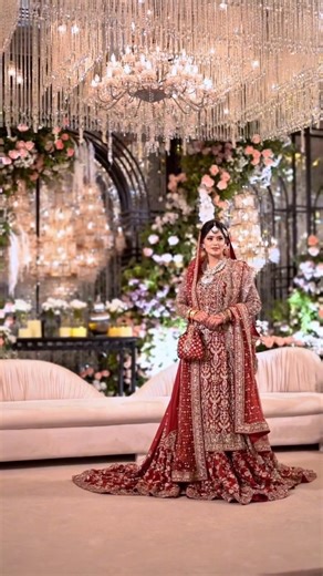 Solo Bride Barat Wedding Highlights | Cinematic Moments #BridalHighlights #CinematicWedding