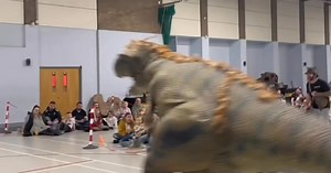 2.5K views · 176 reactions | The Dinomania Live Tour is roaring into...