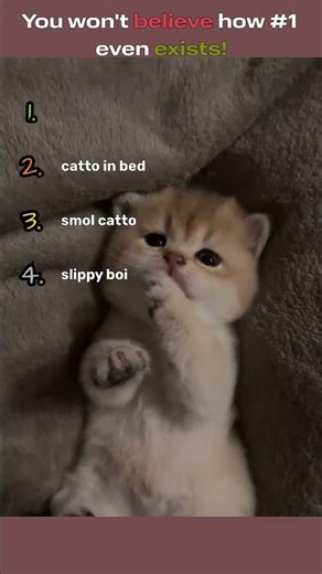 how cute number 1 is!!