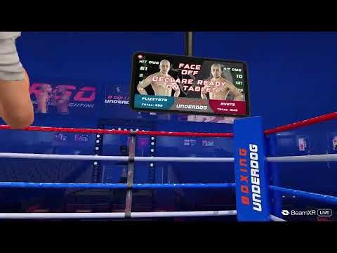 new to boxing game gameplay