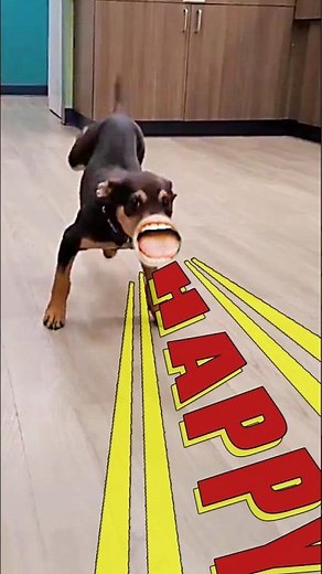 Happy Dog Full Song