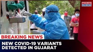 New COVID-19 Variants Detected In Gujarat Says Health Ministry | Times Now News | Latest Update