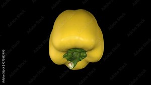 3 D animation of spinning paprika on a black background