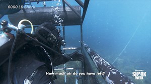 Swimming out of a cage surrounded by hungry sharks!? 😳 Find out what happens in 6000 Lb. Shark tomorrow at 9p during #SharkWeek on Discovery! | Shark Week