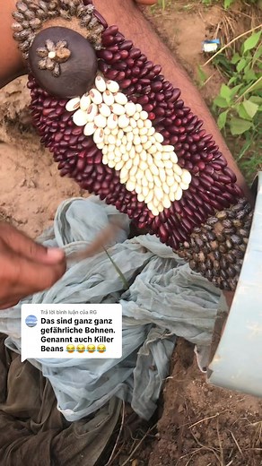 Tick and Lice Infestation: Overcoming the Fear of Ticks | Tick Removal Tips