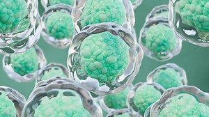 Turning Hope into Reality: Unlocking the Potential of Blood and Cells