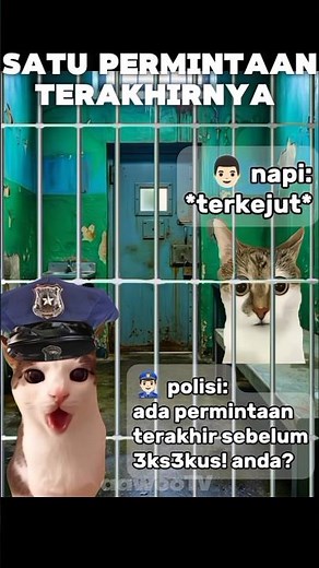 Satu Permintaan Terakhir Seorang Ayah? #kucinglucu #sadstory #memeindonesia