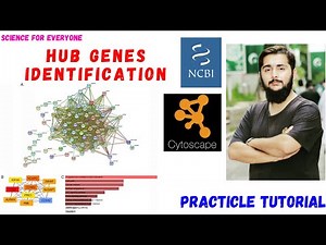 Hub Genes Identification | Bioinformatics | Complete Practicle Tutorial | Urdu | Hindi