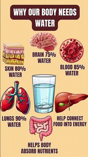 Why Our Body Needs Water | Amazing Facts About Water in the Human Body #healthylifestyle #healthtips
