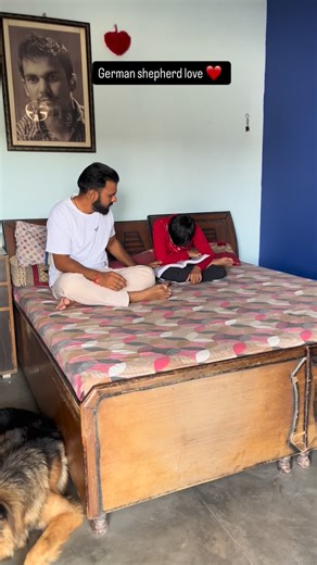 “German Shepherd’s aggression means protection, not harm 👶🐾” #viral #trendingreels #dog #trending #dogsofinstagram #doglover #germanshepherd #lovedogs #doglife #dognails | Dev Godara