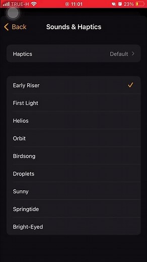 Early riser Alarm sound ios10-ios17