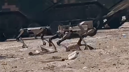 Watch: China's explosive-laden robot dogs show power in assault drill