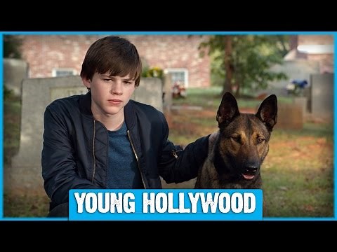 MAX Star Josh Wiggins on Dogs as Co-Stars vs Pets!