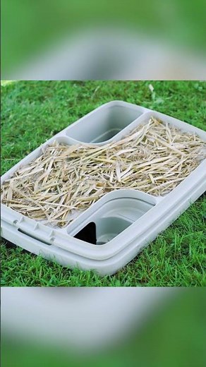 Bunny Base - Kaninchenbau von KERBL Pet (#81747) #shorts