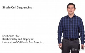 [英文] 单细胞测序 Single Cell Sequencing