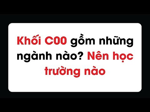 Khối C00 gồm những ngành nào? Nên học trường nào năm 2024