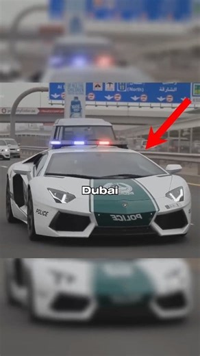 Why Dubai police use supercars | TammyCooper-j2y