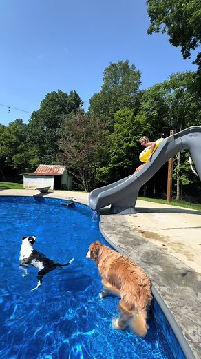 haha ow my screams were so real | scream