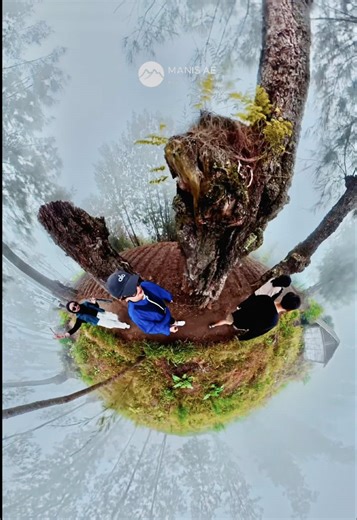 ~menikmati best view bukit kejalen bareng @manisaebromo ~ Ini sih staycation combo yah, salah satu tempat penginapan favorite kalau ke bromo Selain lokasinya dekat dengan gunung bromo disini tuh best view banget karena dikelilingi oleh pengunungan tengger. Activity pagi juga kalo kalian mager buat tracking ke bromo, kalian bisa tracking ke bukit kejalen nikmatin sunrise, nikmatin hawa pagi, melewato kebun warga dll Gw staycation bareng sama temen” @green.tea27 @hanidianar @serenety45 Jadi kalau 