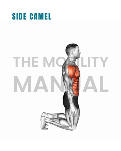 Mobility & Joint Relief Coach on Instagram: "8 Power Moves for a Strong & Sculpted Core 💪🔥 Let’s STRENGTHEN your CORE and set those ABS on FIRE with 8 bodyweight exercises you can do ANYWHERE! Perform all 8 exercises in a circuit with minimal to no rest. Rest for 30-60 seconds. Repeat for 4 sets. 1. Side camel x 10 on each side 2. Bird dog to knee reach x 10 on each side 3. Plank row (without weight) x 30 total 4. Plank row (with weight) x 30 total 5. Kneeling push up to hovering table top x 1