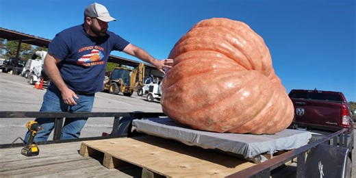 Spike the giant pumpkin arrives in Franklin for this weekend’s Pumpkinfest