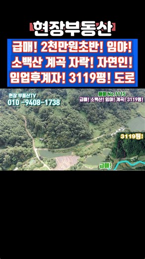 소백산 계곡 임야 매매 3119평 2천만원초반 #급매 #부동산 #임야 #임업후계자 #자연인 #산소부지 #어의곡리