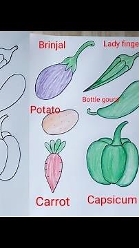 How to draw vegetables easy method | Vegetable drawing