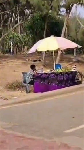 🌊sea peace #explore #search #sea #beach #shorts #reels