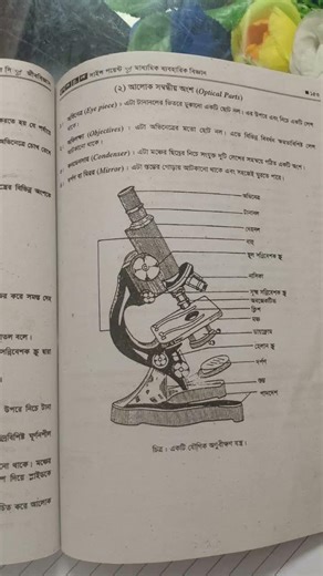Biology Compound Microscope Practical
