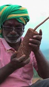 The Father Raising 3,400 'Children' - Munusamy’s Love for His Son Turns a Mountain into a Garden