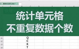 026Excel统计单元格中不重复数据个数