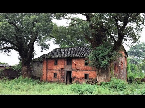 Perfect Renovation: Young men head to the forest to decorate a dilapidated house and create a garden
