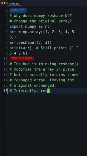 Your Python Is Too Slow: Why does numpy reshape NOT change the original array?
