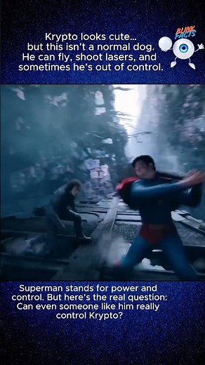 Superman (2025)–Krypto the Superdog Scene | Can Even Superman Control Him? #movie #movies #superman