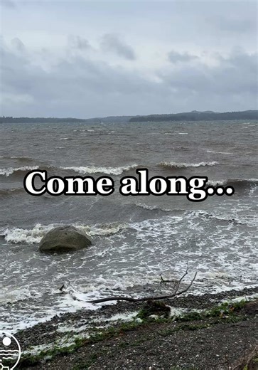 Winter wind #healing #pnwlife #washington #alltrails