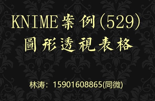 KNIME案例(529)图形透视表格