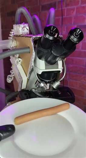 Are you still eating Hot dog 🌭 Pork sausages?? Well this is what it looks like under a microscope… Put your Seatbelt on.. 😂🤣😂 | Hidden Americans