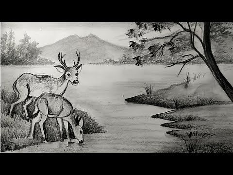 how to draw deer with pencil sketch scenery,how to draw forest scenery,step by step,animals drawing